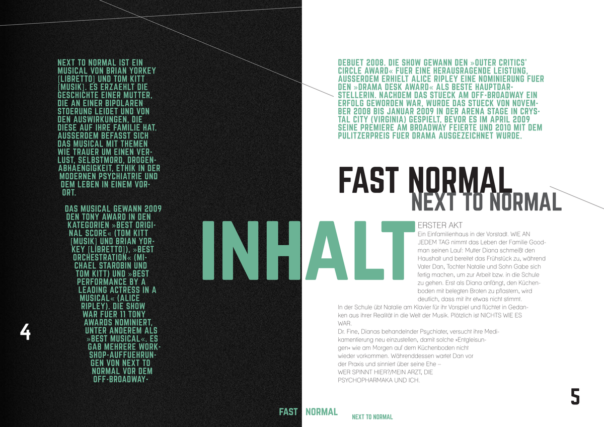 Sonderheft NEXT TO NORMAL